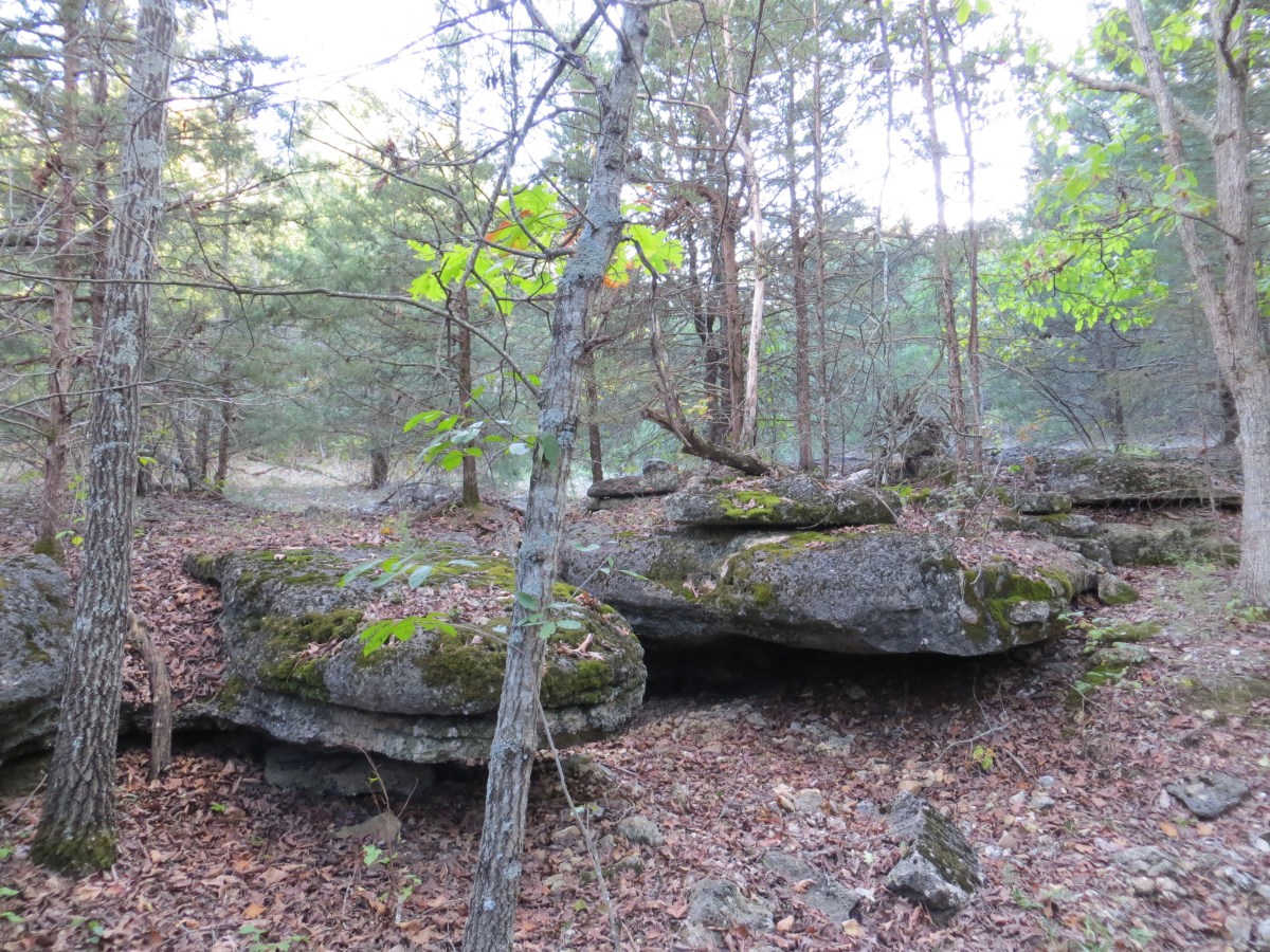 'Bear Claw' rock structure